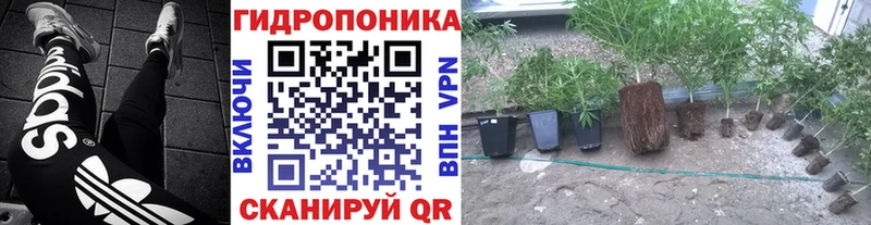 Магазин наркотиков Терек ГАШ  Cocaine  МЕФ 