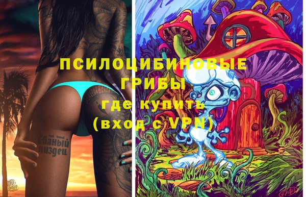 дмт Лиски