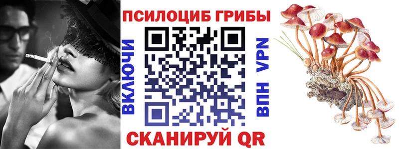 где купить наркоту  Терек  Галлюциногенные грибы ЛСД 